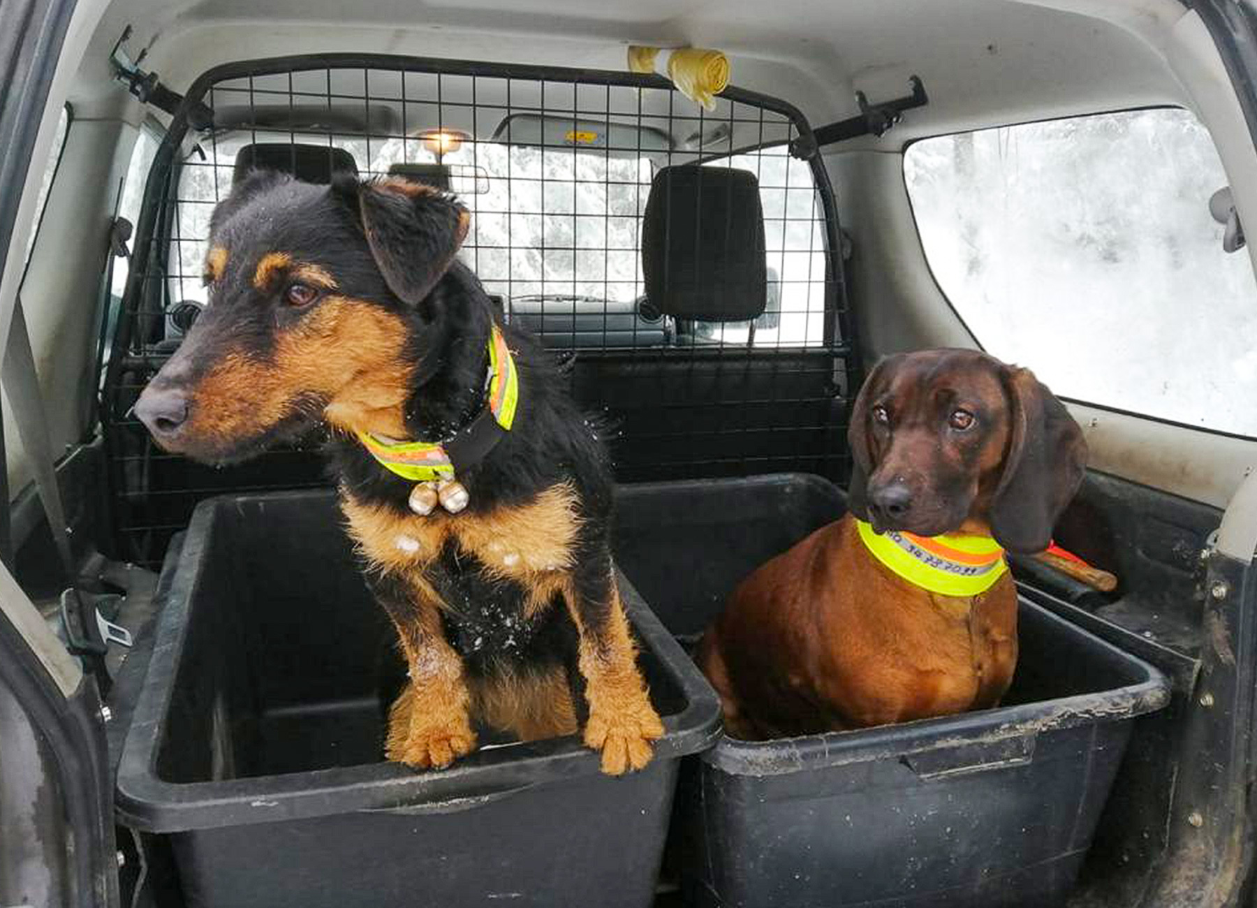 fach-3_20230505_103623_1